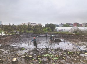鼓楼河道鱼塘清淤